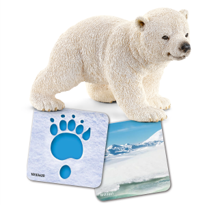 42474_icon_01_v19_TP