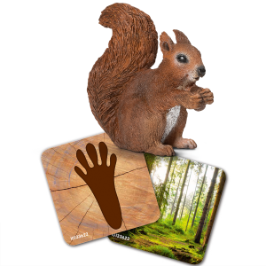 42474_icon_03_v19_TP