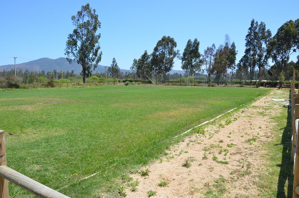 Condominio La Foresta – Zapapllar