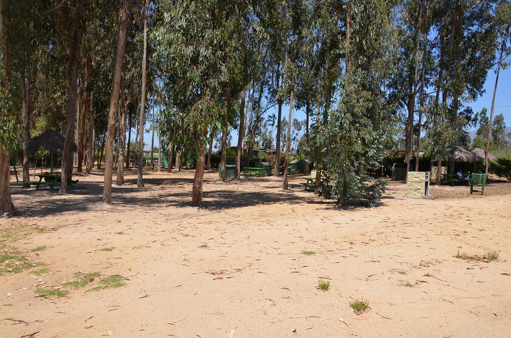 Condominio La Foresta – Zapapllar