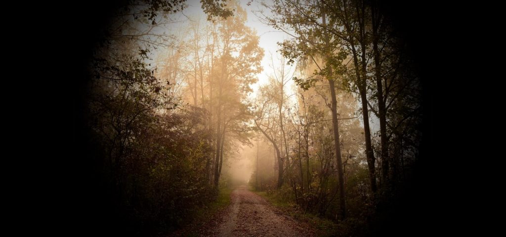 camino-arboles-woldarsky-funerales