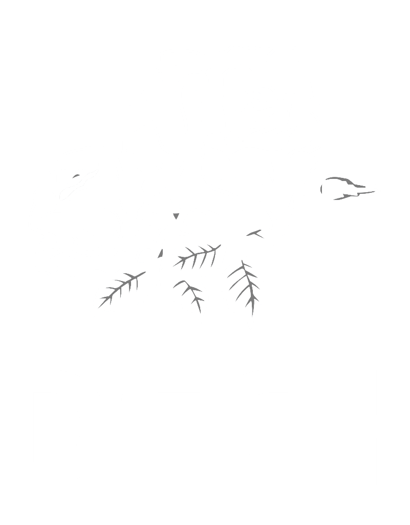 Directorio Funerarias de Chile